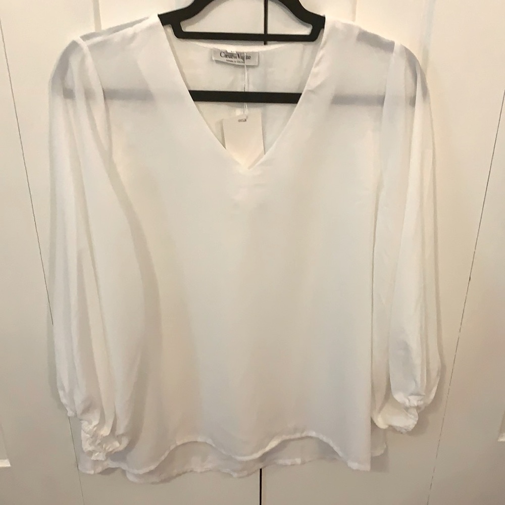 New v-neck sheer blouse. Long flounce sleeve.